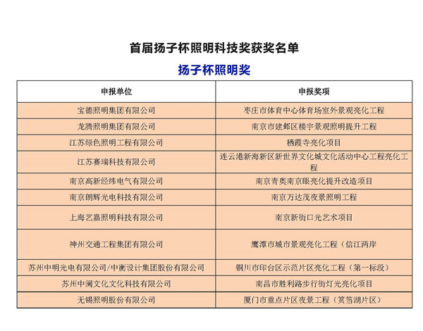 首届（2019）扬子杯照明科技奖获奖名单 -删掉广东获奖单位、设计人员奖_页面_1.jpg